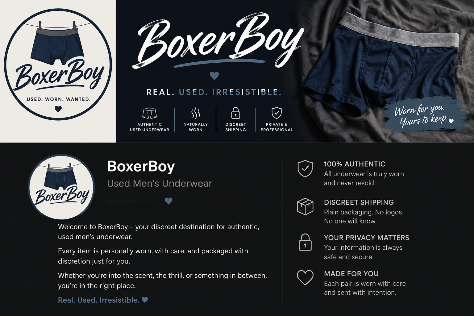 BoxerBoy