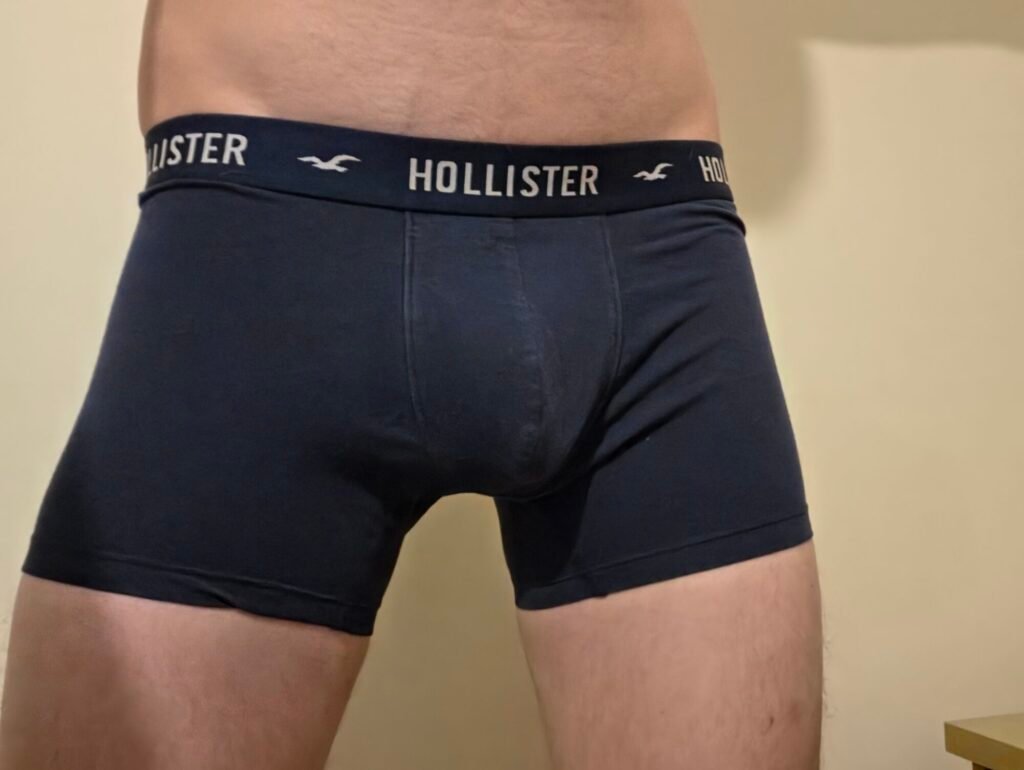 Hollister Navy Used